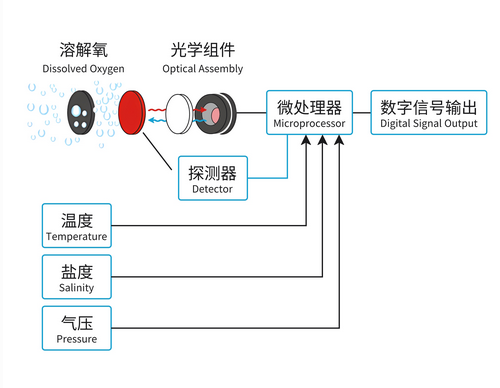 溶解氧傳感器 溶解氧傳感器